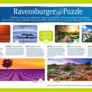 Luce Mistica Puzzle 1000 pezzi Ravensburger 195381-8037