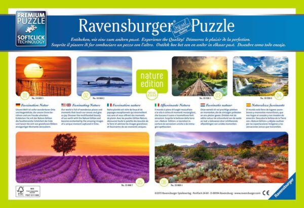 Luce Mistica Puzzle 1000 pezzi Ravensburger 195381-8037