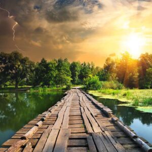 Luce Mistica Puzzle 1000 pezzi Ravensburger 195381-8036