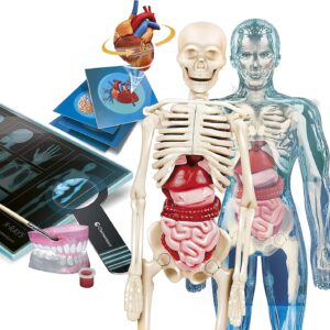 Anatomia Super Scienza&Gioco Clementoni 19299-16044