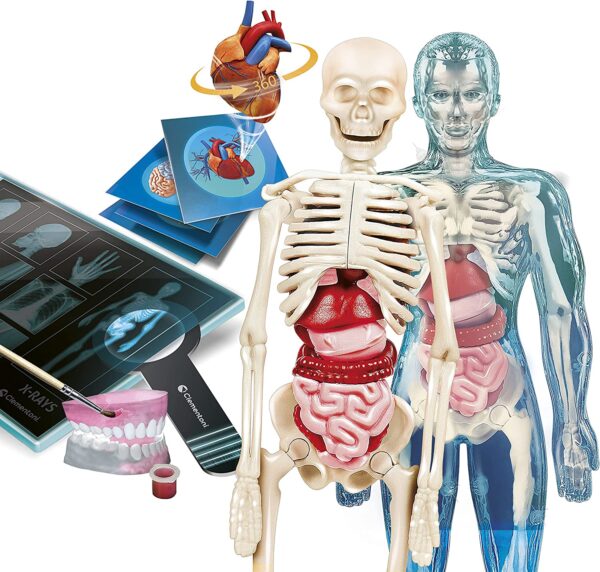 Anatomia Super Scienza&Gioco Clementoni 19299-16044