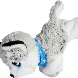 Chi Chi Love Happy Husky Simba -17489