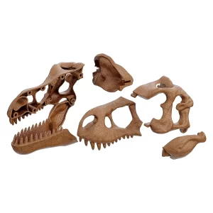 Cranio Gigante e Scheletro T-rex - CLEMENTONI - immagine 5