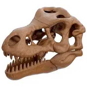Cranio Gigante e Scheletro T-rex - CLEMENTONI - immagine 6