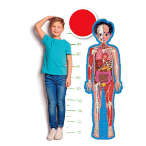 Sapientino Più Corpo Umano - CLEMENTONI - immagine 6