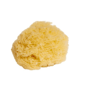 Spugna naturale - THAT'S LOVE - immagine 2