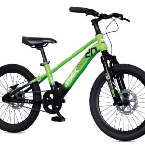 Thunder Green Single Speed 20 Pollici - MAGIK BIKE - immagine 1