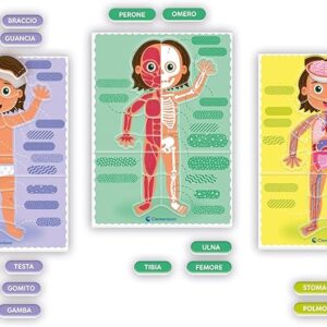 Il Corpo Umano -Montessori - CLEMENTONI - immagine 7