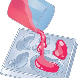 Anatomia scheletro e organi - CLEMENTONI - immagine 6