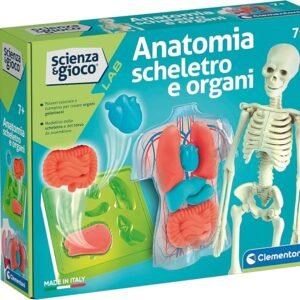 Anatomia scheletro e organi - CLEMENTONI - immagine 1