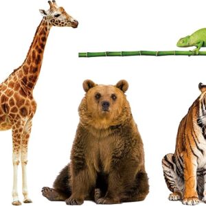 Animali da record - CLEMENTONI - immagine 2