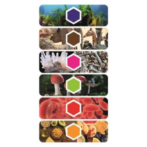 Microscopio digitale smart AI e telecamera wi-fi - CLEMENTONI - immagine 4