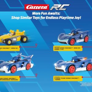 Team Sonic Racing- Shadow, Performance - CARRERA - immagine 9