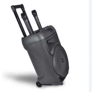 Trolley PRO Amplificatore Wireless con 2 Microfono Wireless - BONTEMPI - immagine 5